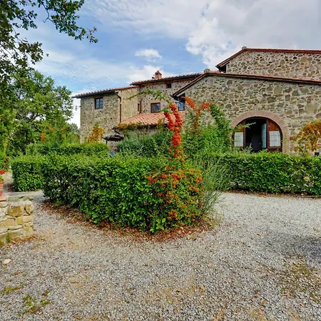 Coccinella N-6 By Interhome